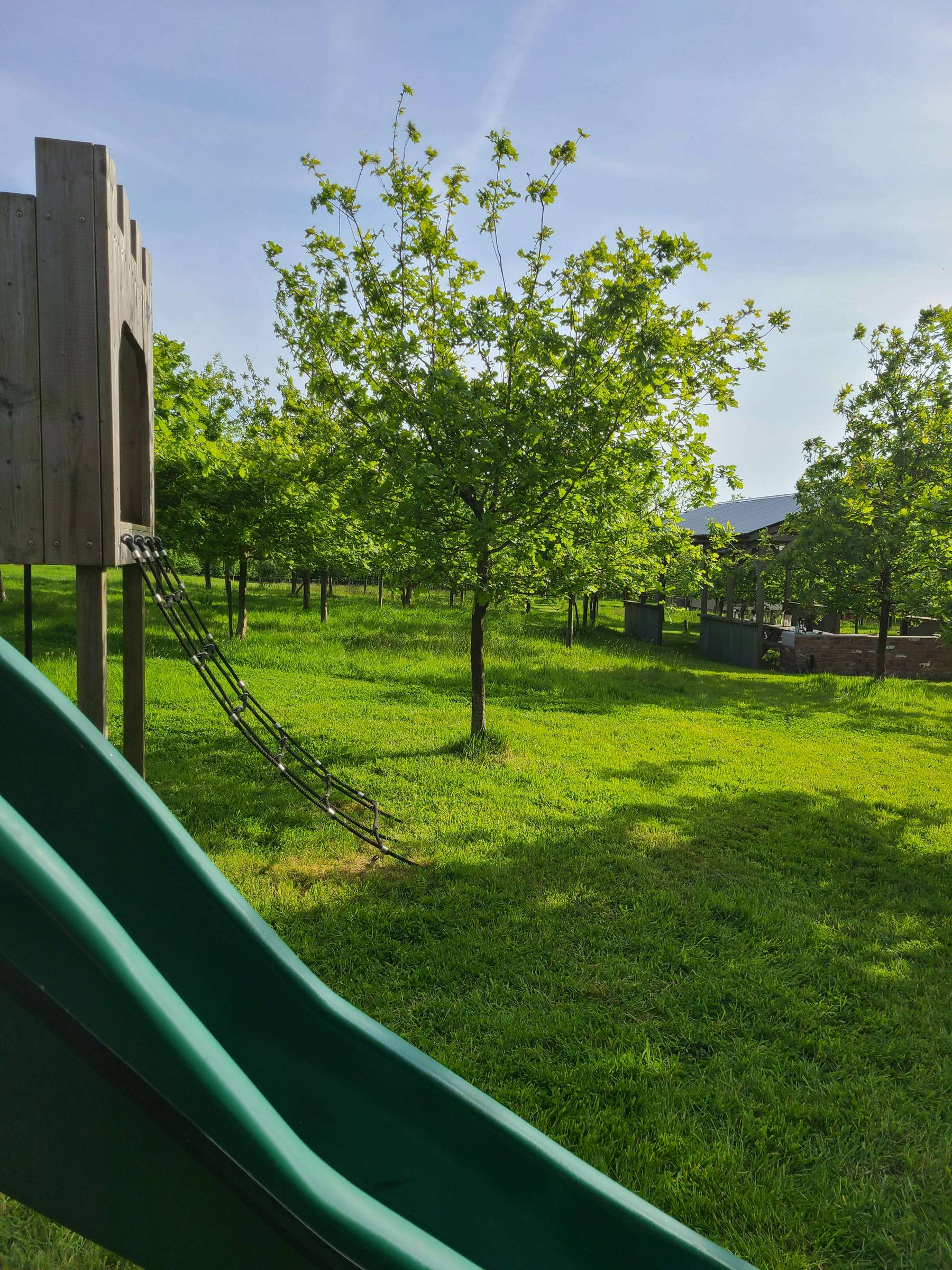 The kids play area