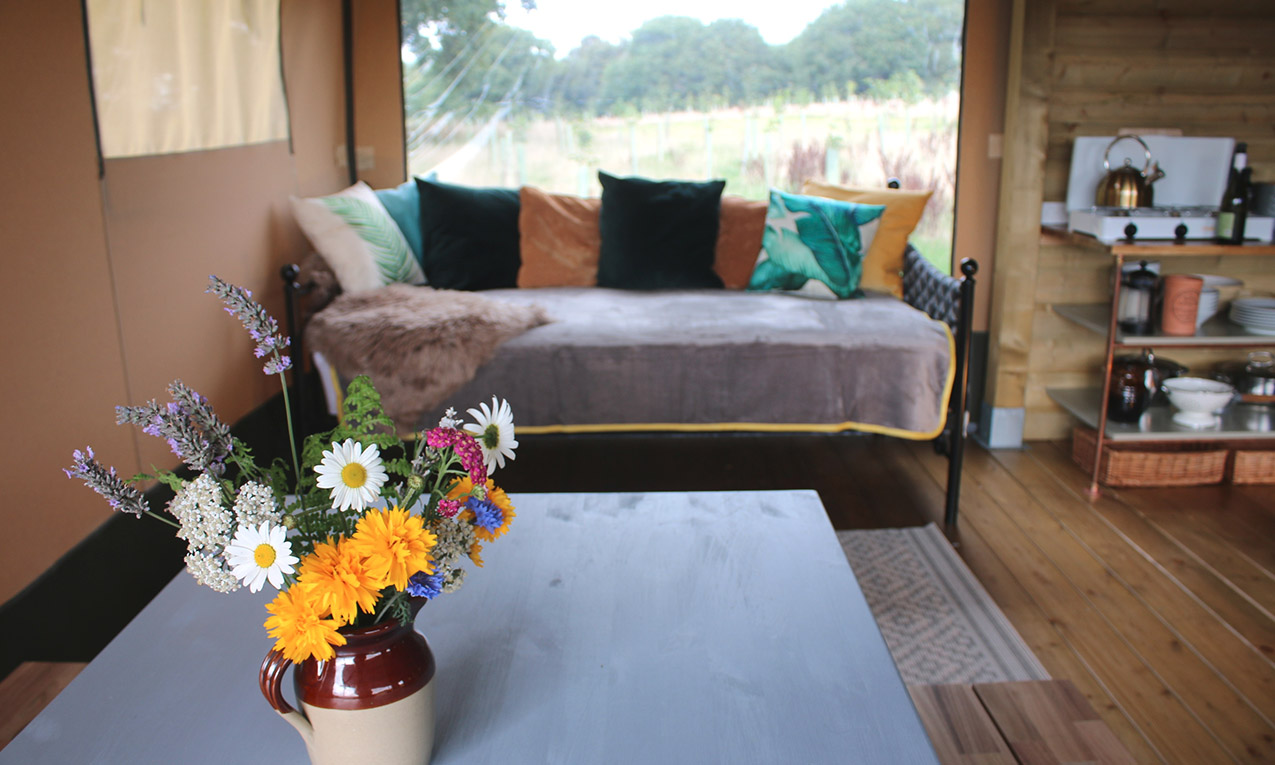 Willow's living and dining area