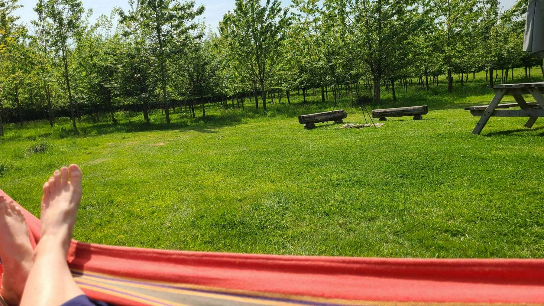 Lounging in a hammock